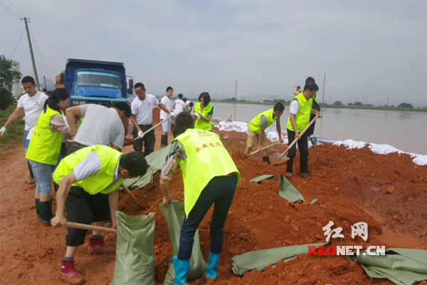 【洪水中的脊梁】長沙縣抗洪一線非公黨組織黨旗高揚(yáng)